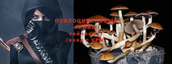 твердый Мегион