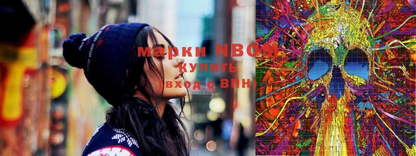 PSILOCYBIN Вяземский