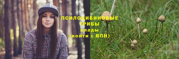 твердый Мегион