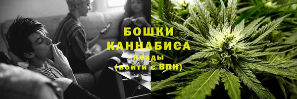 твердый Мегион