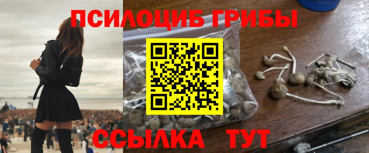 Мариинск  Псилоцибиновые грибы мицелий  Вход с VPN 